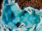 Natural Cabinet Size Drusy Coated Botryoidal Chrysocolla Specimen on Dolomite x 1 From Likasi, Congo