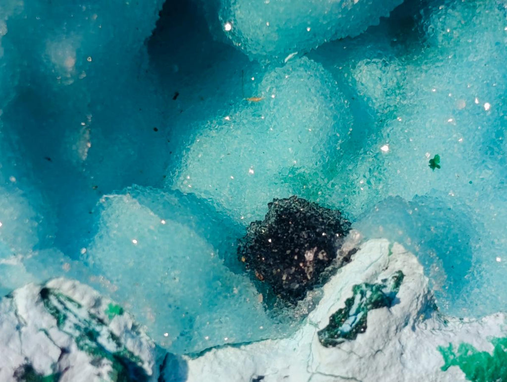 Natural Cabinet Size Drusy Coated Botryoidal Chrysocolla Specimen on Dolomite x 1 From Likasi, Congo
