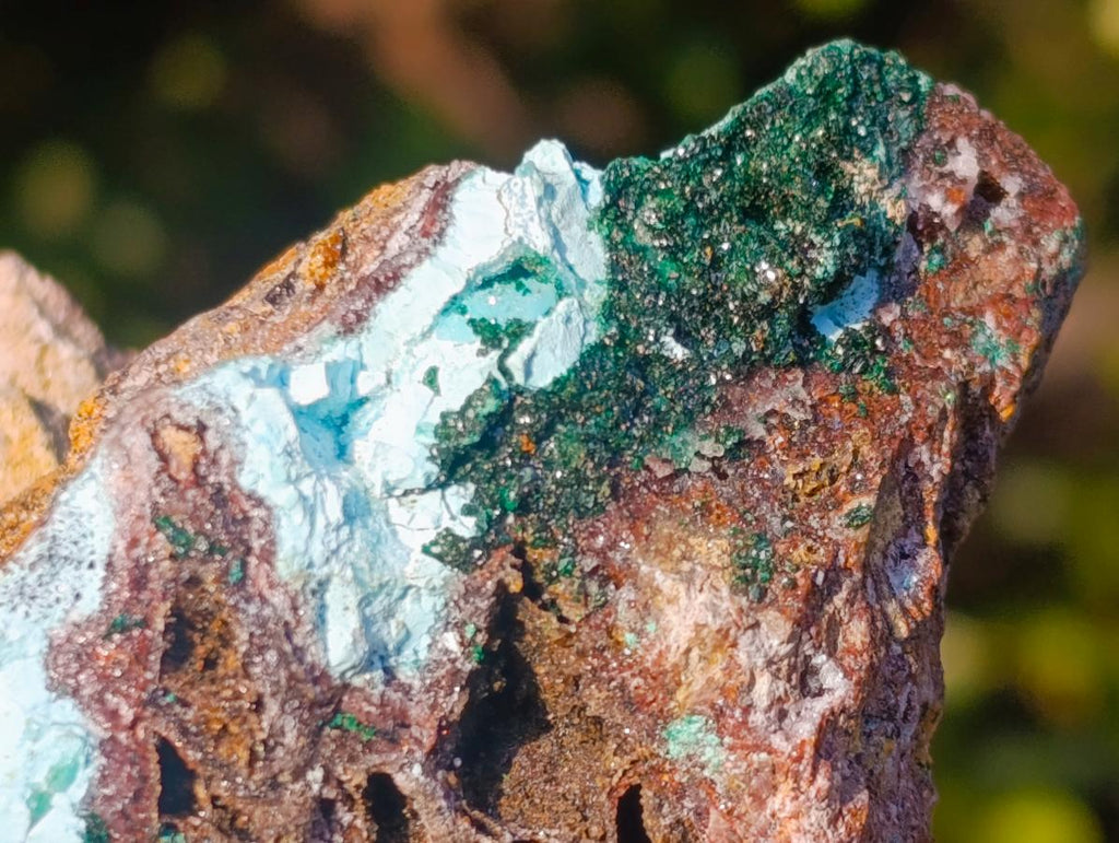 Natural Cabinet Size Drusy Coated Botryoidal Chrysocolla Specimen on Dolomite x 1 From Likasi, Congo