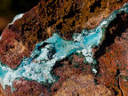 Natural Cabinet Size Drusy Coated Botryoidal Chrysocolla Specimen on Dolomite x 1 From Likasi, Congo