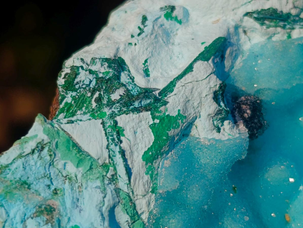 Natural Cabinet Size Drusy Coated Botryoidal Chrysocolla Specimen on Dolomite x 1 From Likasi, Congo