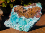 Natural Cabinet Size Drusy Coated Botryoidal Chrysocolla Specimen on Dolomite x 1 From Likasi, Congo