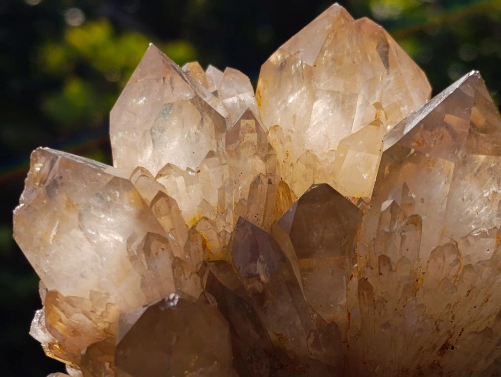 Natural Cabinet Size Cascading Citrine Crystal Cluster x 1 From Luena, Congo