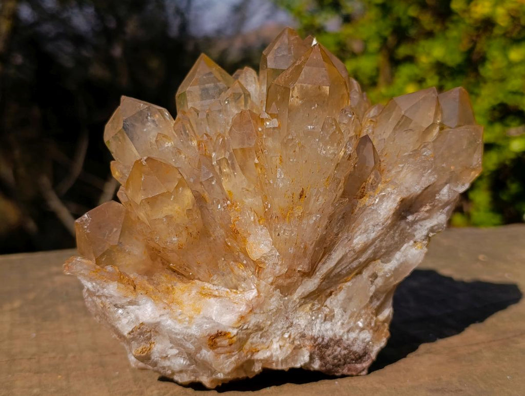 Natural Cabinet Size Cascading Citrine Crystal Cluster x 1 From Luena, Congo