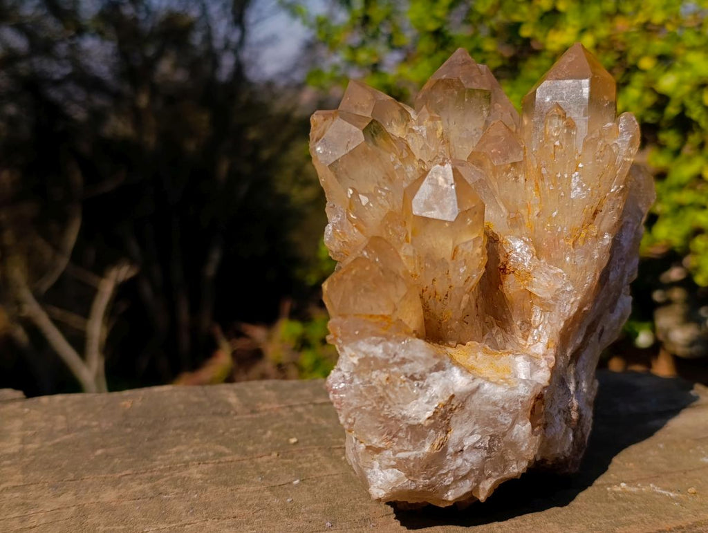 Natural Cabinet Size Cascading Citrine Crystal Cluster x 1 From Luena, Congo