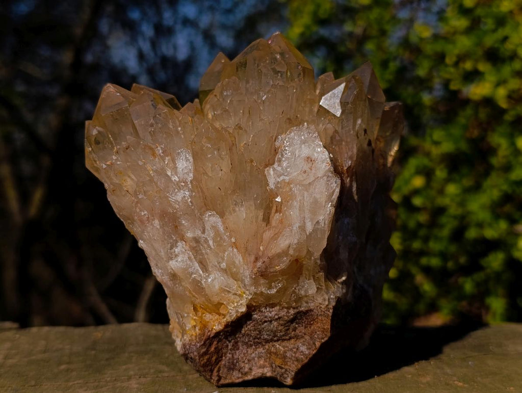 Natural Cabinet Size Cascading Citrine Crystal Cluster x 1 From Luena, Congo