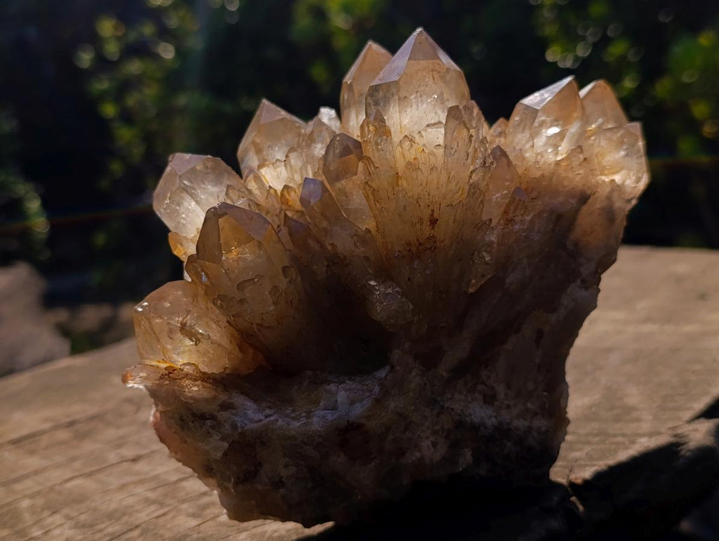 Natural Cabinet Size Cascading Citrine Crystal Cluster x 1 From Luena, Congo