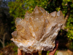 Natural Cabinet Size Cascading Citrine Crystal Cluster x 1 From Luena, Congo