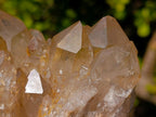 Natural Cabinet Size Cascading Citrine Crystal Cluster x 1 From Luena, Congo