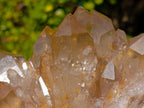 Natural Cabinet Size Cascading Citrine Crystal Cluster x 1 From Luena, Congo