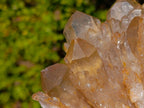 Natural Cabinet Size Cascading Citrine Crystal Cluster x 1 From Luena, Congo