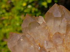 Natural Cabinet Size Cascading Citrine Crystal Cluster x 1 From Luena, Congo