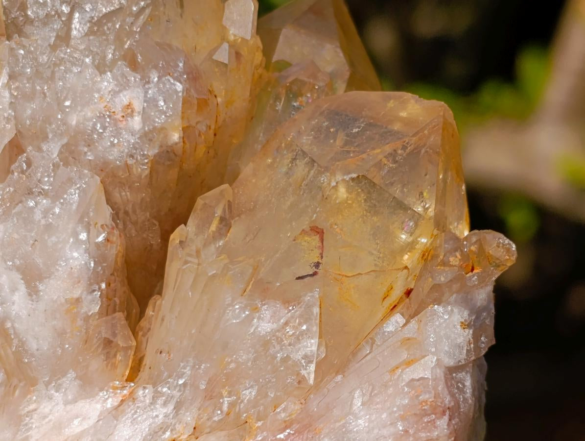Natural Cabinet Size Cascading Citrine Crystal Cluster x 1 From Luena, Congo