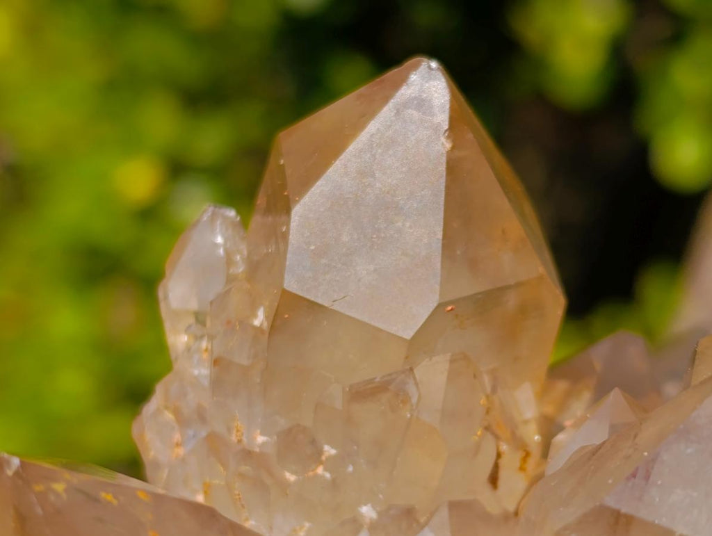 Natural Cabinet Size Cascading Citrine Crystal Cluster x 1 From Luena, Congo