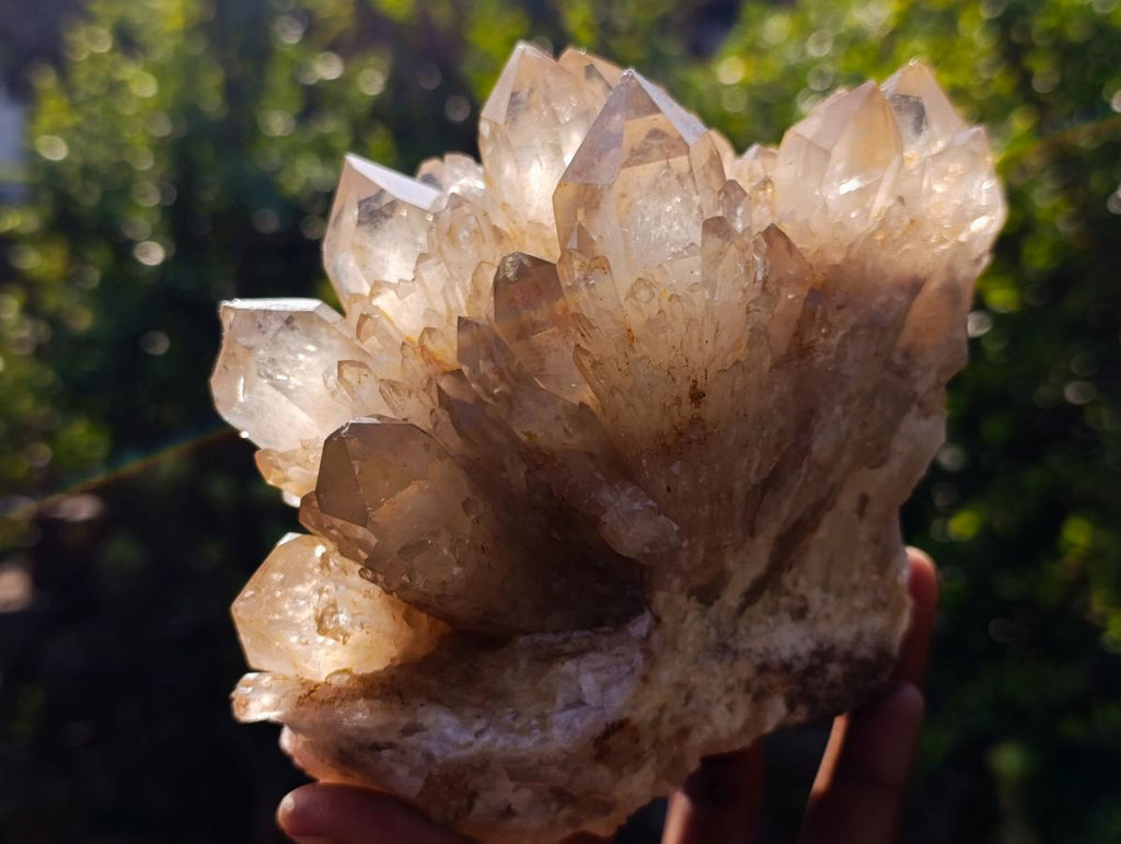 Natural Cabinet Size Cascading Citrine Crystal Cluster x 1 From Luena, Congo
