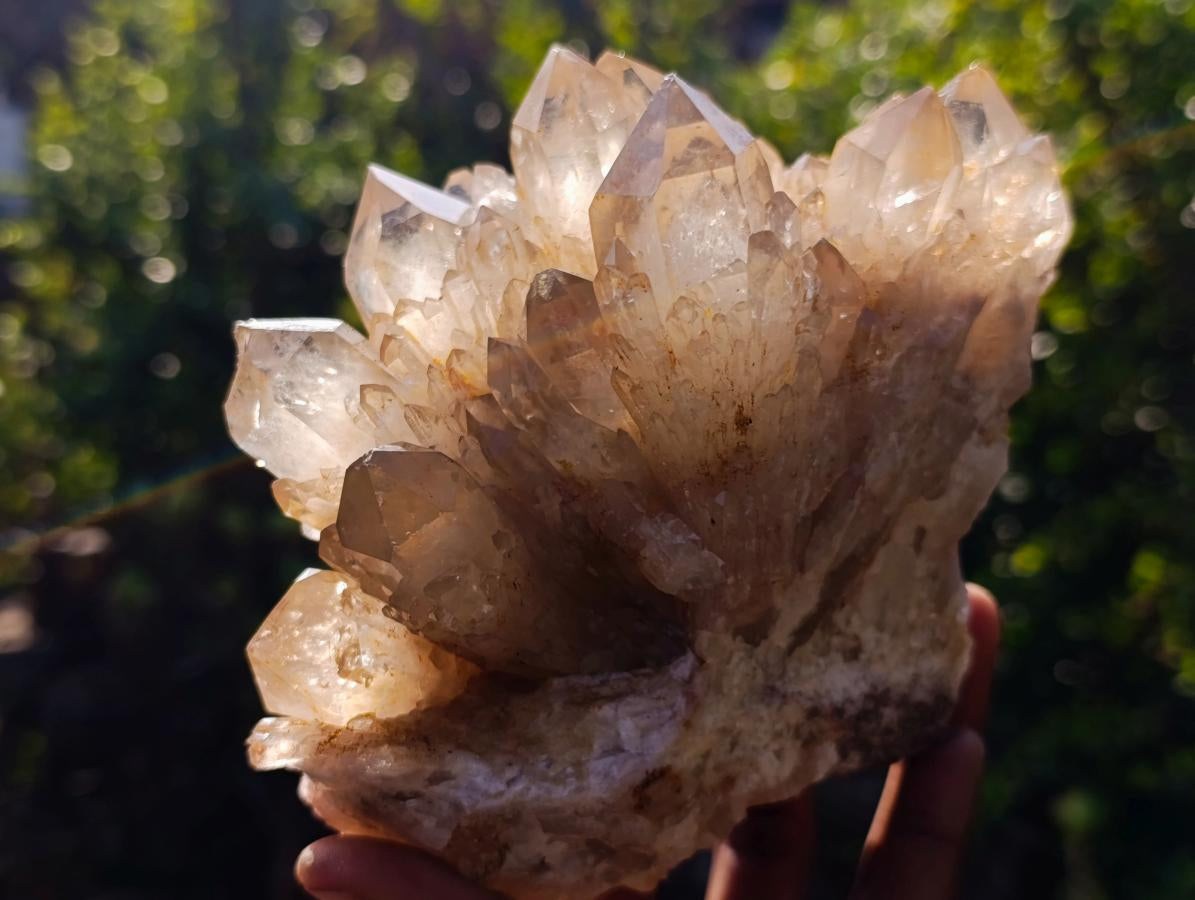 Natural Cabinet Size Cascading Citrine Crystal Cluster x 1 From Luena, Congo