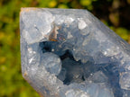 Polished and Natural Blue Celestite Geode Display Crystal x 1 From Sakoany, Madagascar