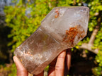 Polished Large Smokey Sceptre Window Quartz Crystal with Specular Hematite Inclusions x 1 From Akansobe, Madagascar