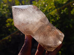 Polished Large Smokey Sceptre Window Quartz Crystal with Specular Hematite Inclusions x 1 From Akansobe, Madagascar