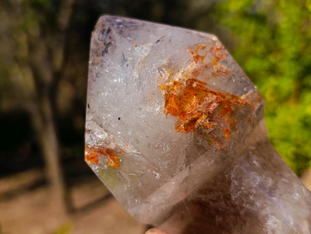 Polished Large Smokey Sceptre Window Quartz Crystal with Specular Hematite Inclusions x 1 From Akansobe, Madagascar