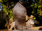 Polished Large Smokey Sceptre Window Quartz Crystal with Specular Hematite Inclusions x 1 From Akansobe, Madagascar