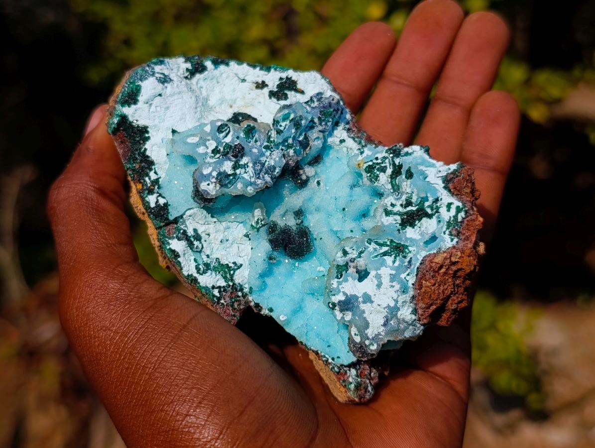 Natural Classic Drusy Coated Chrysocolla Specimen with Malachite on Dolomite x 1 From Likasi, Congo