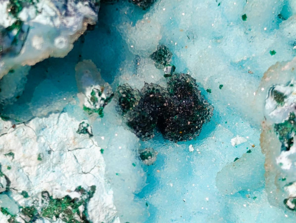 Natural Classic Drusy Coated Chrysocolla Specimen with Malachite on Dolomite x 1 From Likasi, Congo