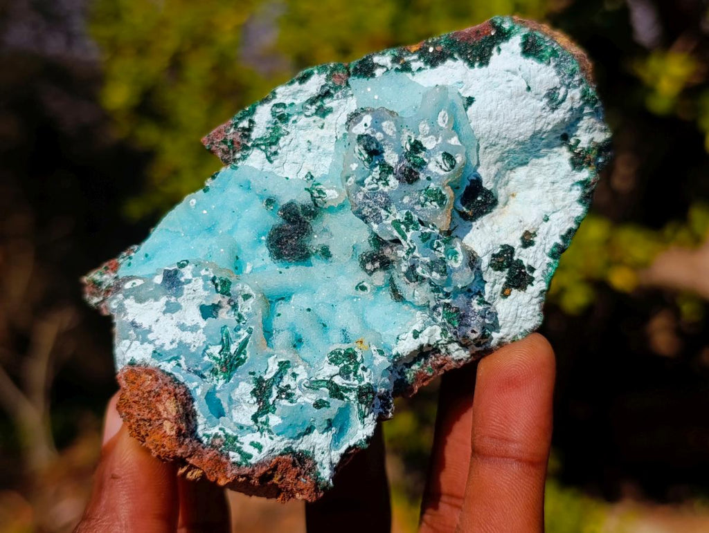 Natural Classic Drusy Coated Chrysocolla Specimen with Malachite on Dolomite x 1 From Likasi, Congo