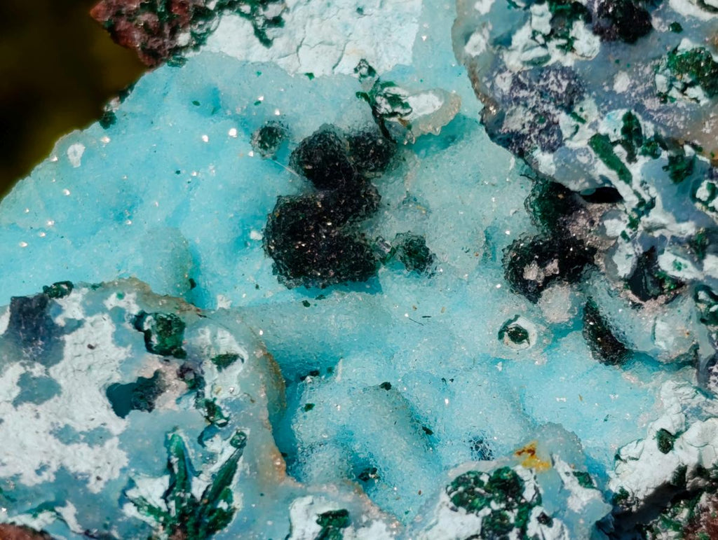 Natural Classic Drusy Coated Chrysocolla Specimen with Malachite on Dolomite x 1 From Likasi, Congo