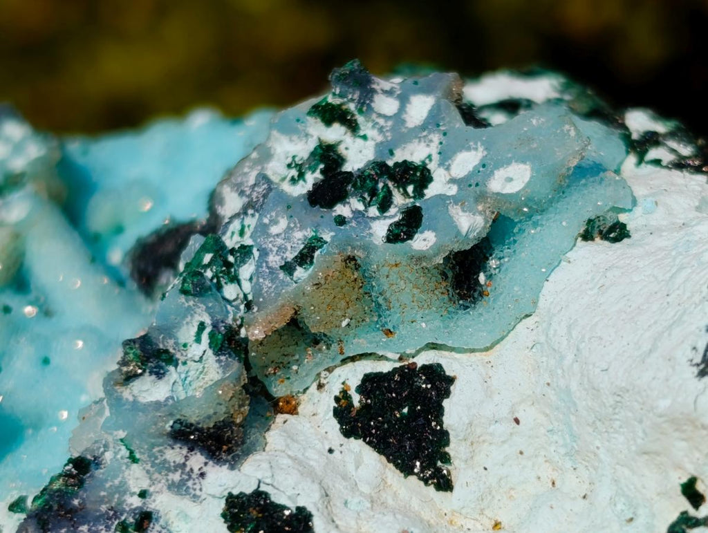 Natural Classic Drusy Coated Chrysocolla Specimen with Malachite on Dolomite x 1 From Likasi, Congo