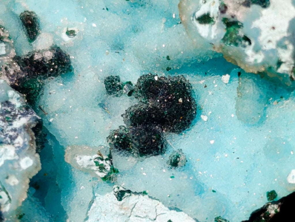 Natural Classic Drusy Coated Chrysocolla Specimen with Malachite on Dolomite x 1 From Likasi, Congo