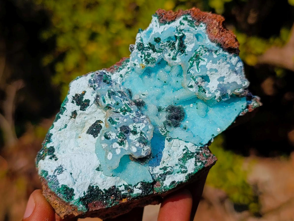 Natural Classic Drusy Coated Chrysocolla Specimen with Malachite on Dolomite x 1 From Likasi, Congo