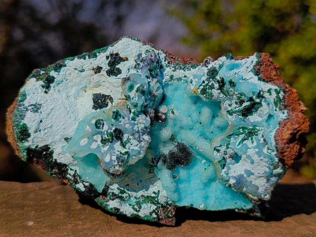 Natural Classic Drusy Coated Chrysocolla Specimen with Malachite on Dolomite x 1 From Likasi, Congo