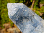 Polished and Natural Blue Celestite Geode Display Crystal x 1 From Sakoany, Madagascar