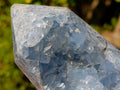 Polished and Natural Blue Celestite Geode Display Crystal x 1 From Sakoany, Madagascar