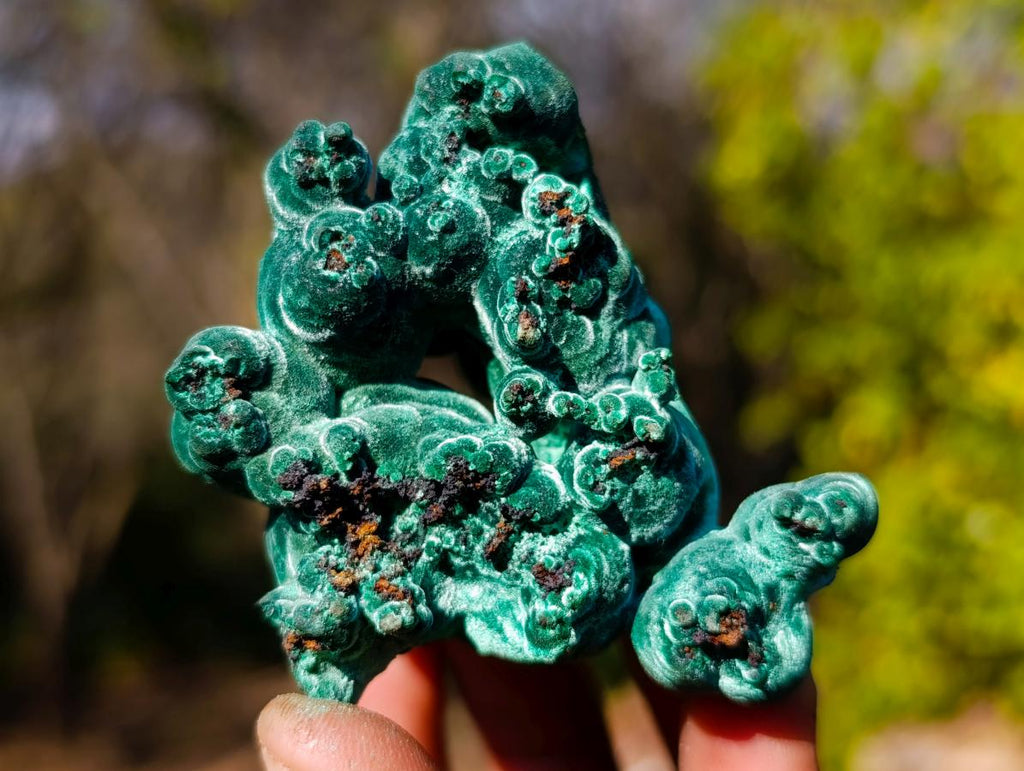 Natural Exquisite Velvet Stalactite Malachite Specimen x 1 From Kasompe, Congo