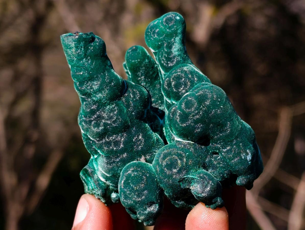 Natural Exquisite Velvet Stalactite Malachite Specimen x 1 From Kasompe, Congo