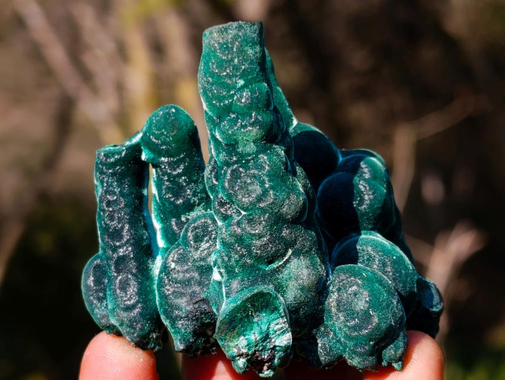 Natural Exquisite Velvet Stalactite Malachite Specimen x 1 From Kasompe, Congo