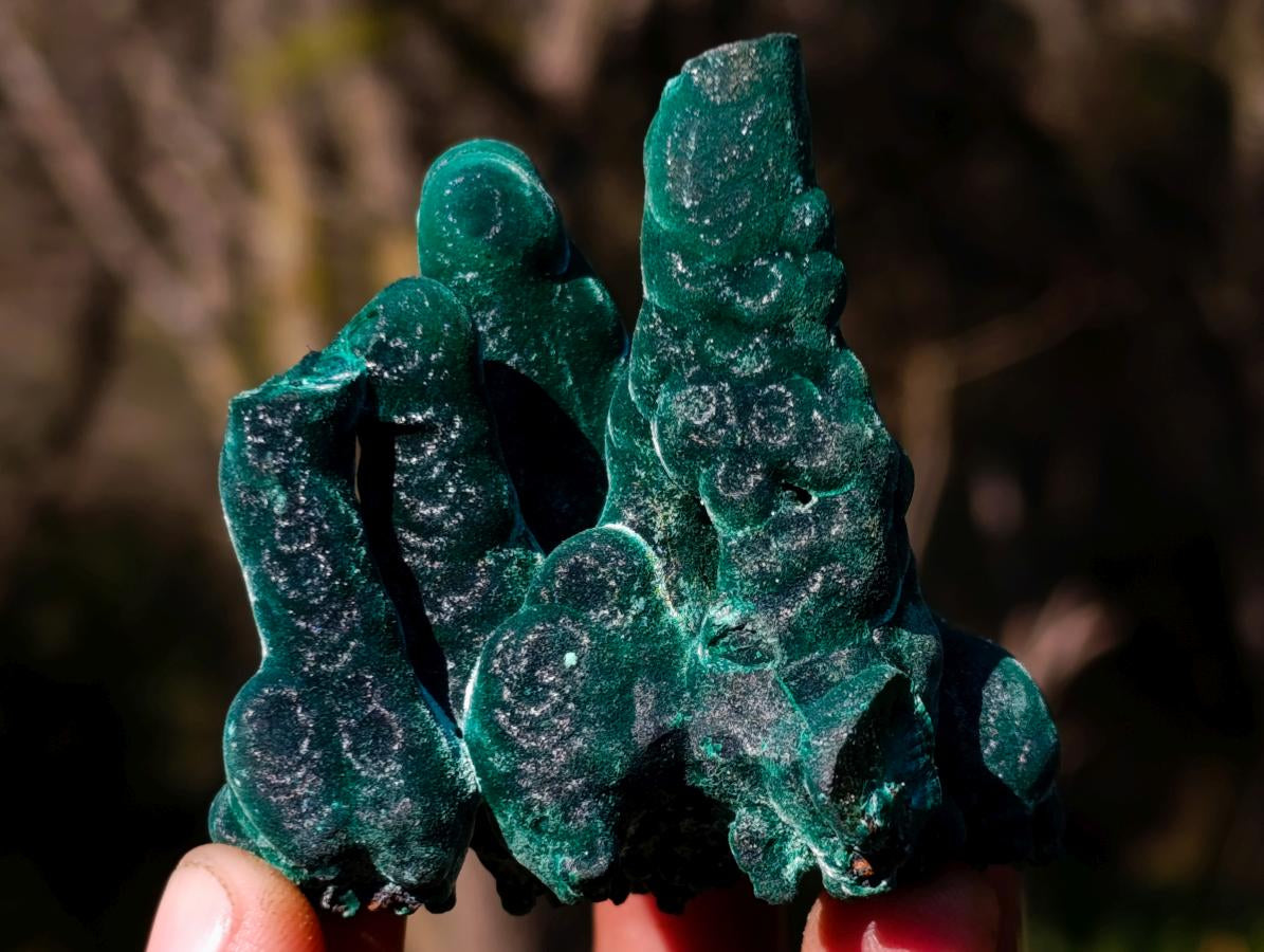 Natural Exquisite Velvet Stalactite Malachite Specimen x 1 From Kasompe, Congo