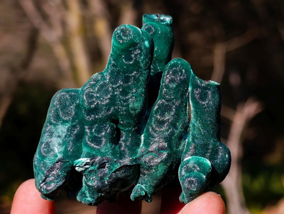 Natural Exquisite Velvet Stalactite Malachite Specimen x 1 From Kasompe, Congo