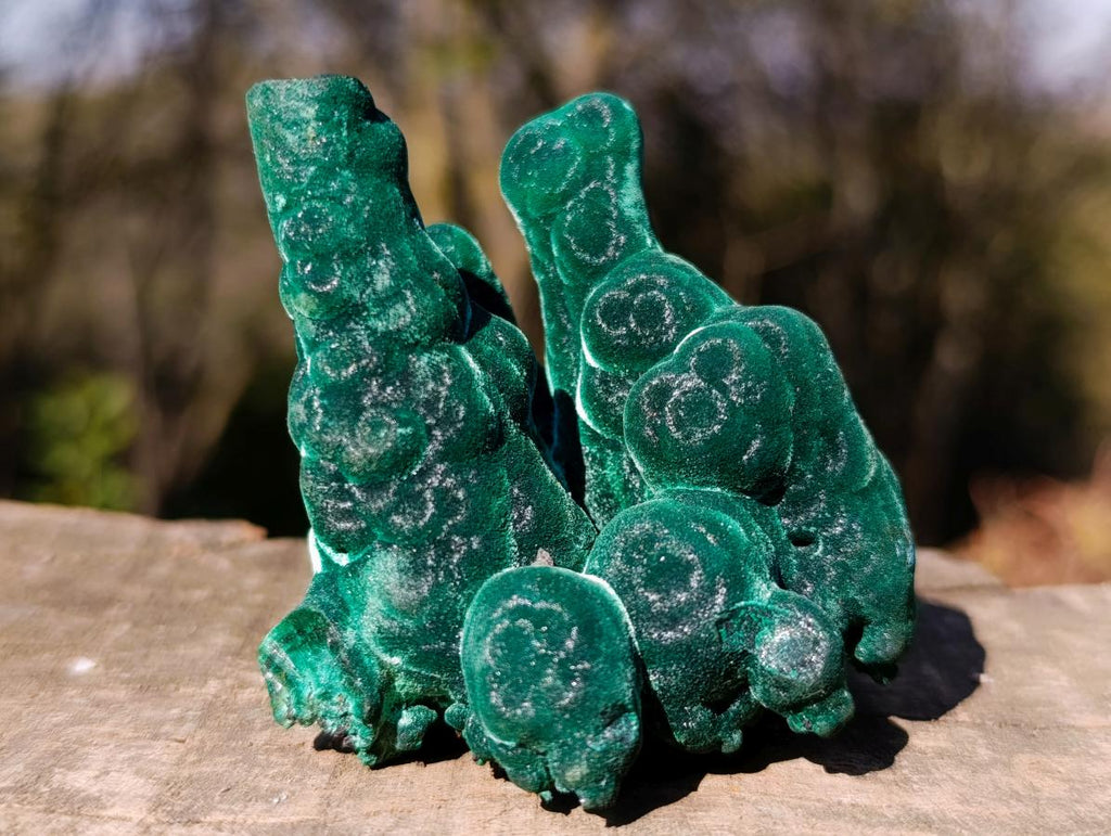 Natural Exquisite Velvet Stalactite Malachite Specimen x 1 From Kasompe, Congo