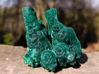 Natural Exquisite Velvet Stalactite Malachite Specimen x 1 From Kasompe, Congo