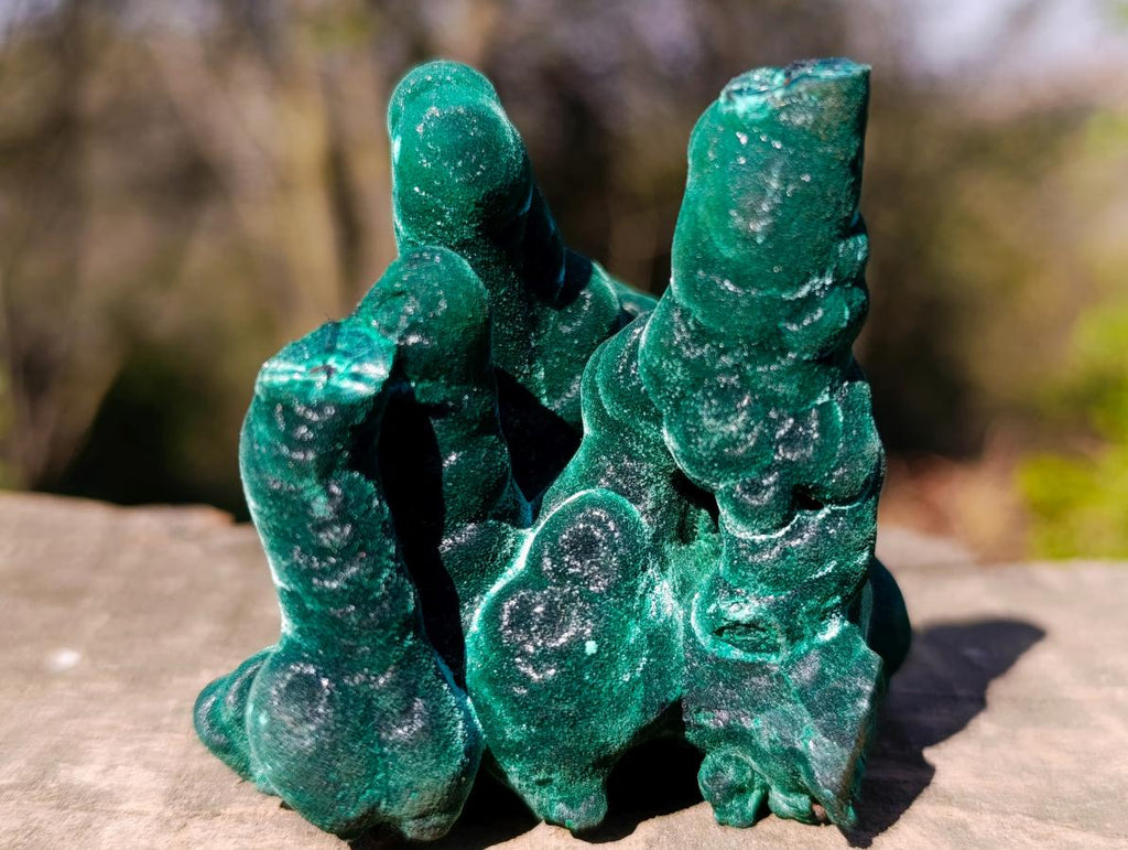 Natural Exquisite Velvet Stalactite Malachite Specimen x 1 From Kasompe, Congo