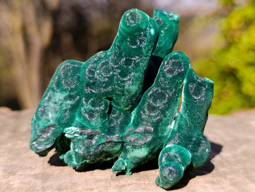 Natural Exquisite Velvet Stalactite Malachite Specimen x 1 From Kasompe, Congo