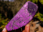 Polished Pair of Silky Metallic Purpurite Pieces x 1 From Erongo, Namibia