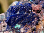 Natural Ultra Rare Azurite Specimen with Malachite on Dolomite x 1 From Mashamba East Mine, Congo