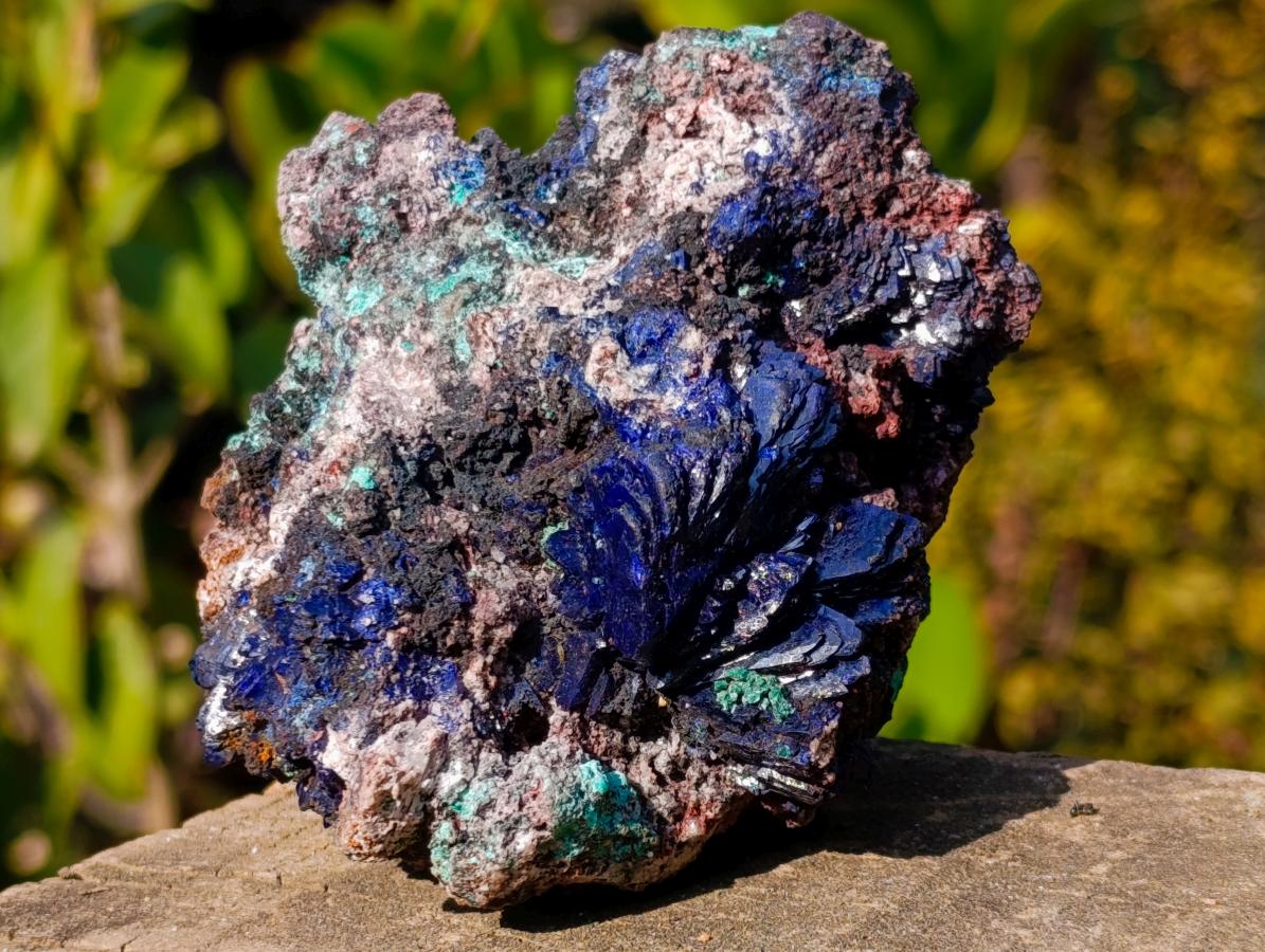 Natural Ultra Rare Azurite Specimen with Malachite on Dolomite x 1 From Mashamba East Mine, Congo