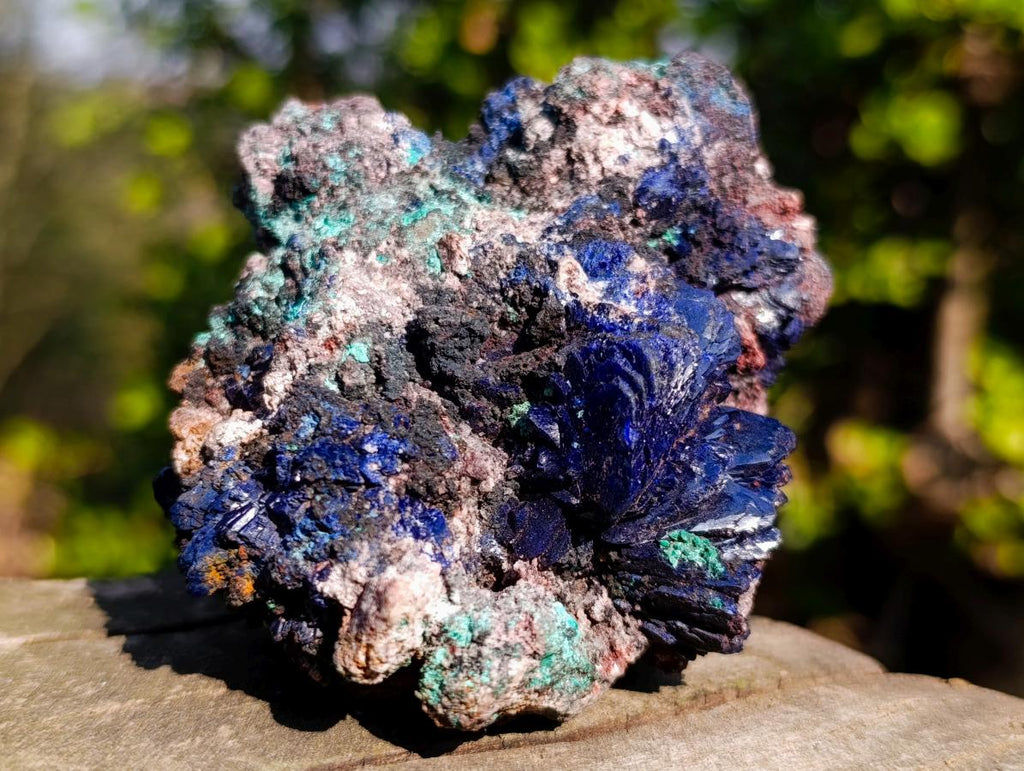 Natural Ultra Rare Azurite Specimen with Malachite on Dolomite x 1 From Mashamba East Mine, Congo