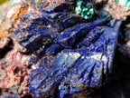 Natural Ultra Rare Azurite Specimen with Malachite on Dolomite x 1 From Mashamba East Mine, Congo