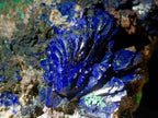 Natural Ultra Rare Azurite Specimen with Malachite on Dolomite x 1 From Mashamba East Mine, Congo